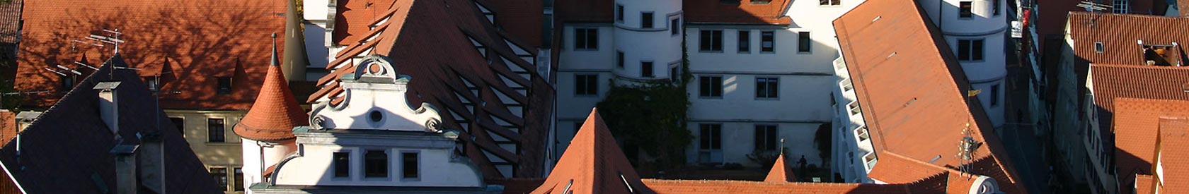 Akademische Vinzenzkonferenz St.Martin am Wilhelmsstift Tübingen, Bischöfliches Theologen-Konvikt der Diözese Rottenburg-Stuttgart